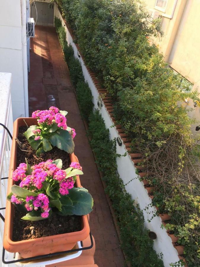 Apartment Armida House - Mondello